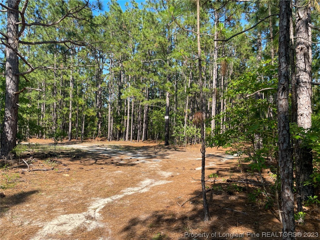 Springwood Lane Raeford, NC 28376 - Photo 18 of 34 Gallery Image 18