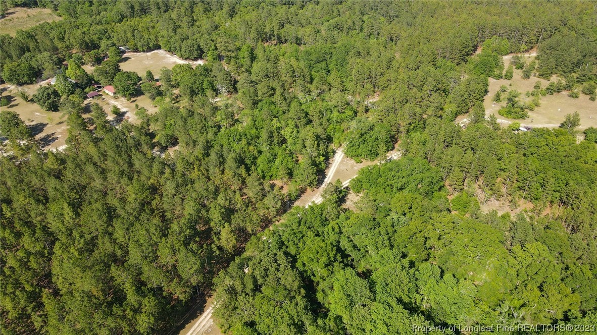 Springwood Lane Raeford, NC 28376 - Photo 21 of 34 Gallery Image 21