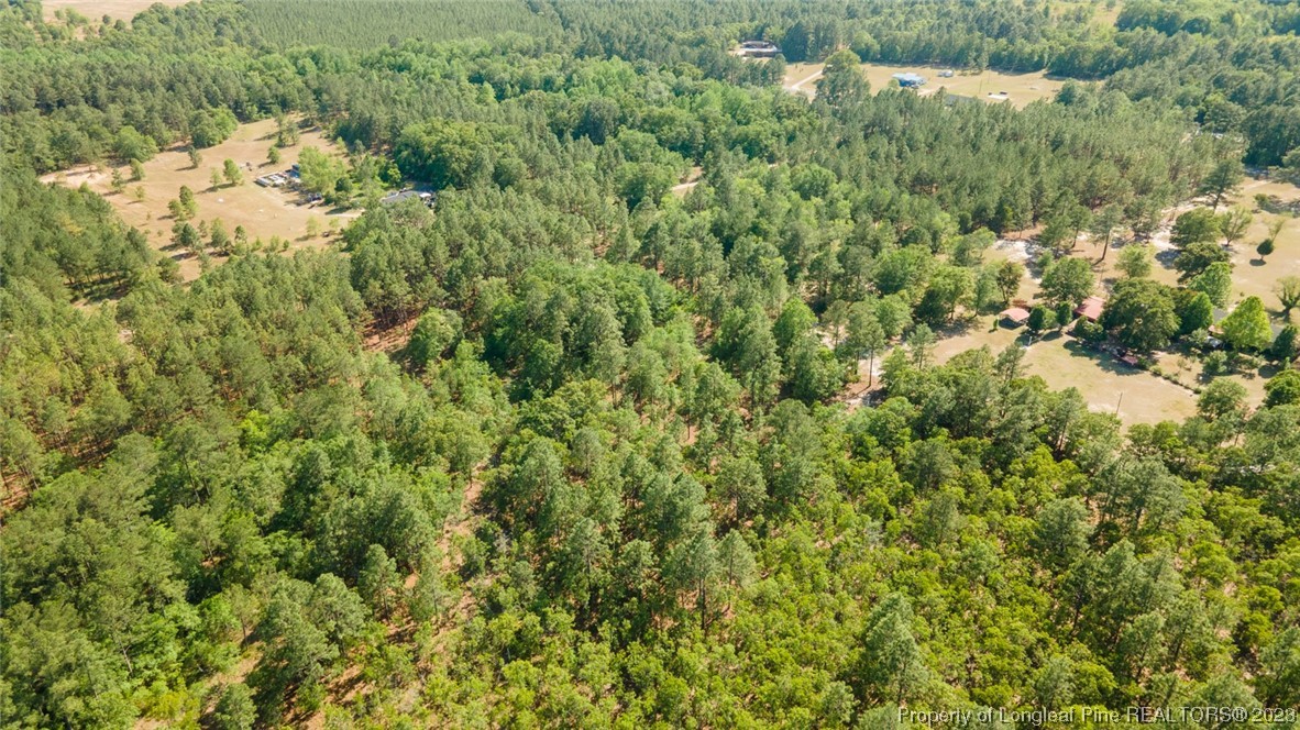 Springwood Lane Raeford, NC 28376 - Photo 27 of 34 Gallery Image 27