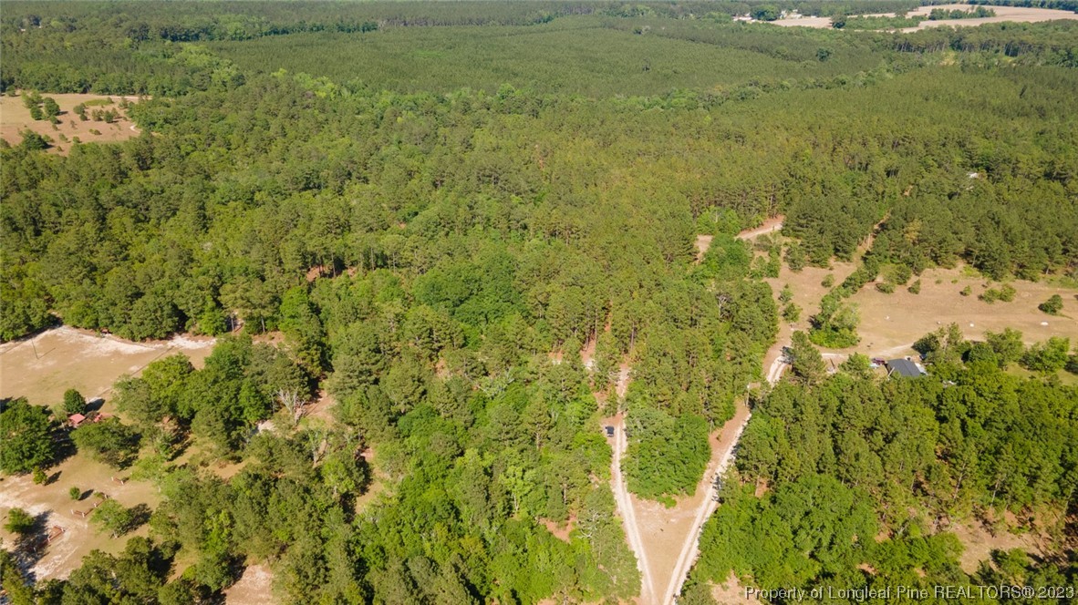 Springwood Lane Raeford, NC 28376 - Photo 29 of 34 Gallery Image 29