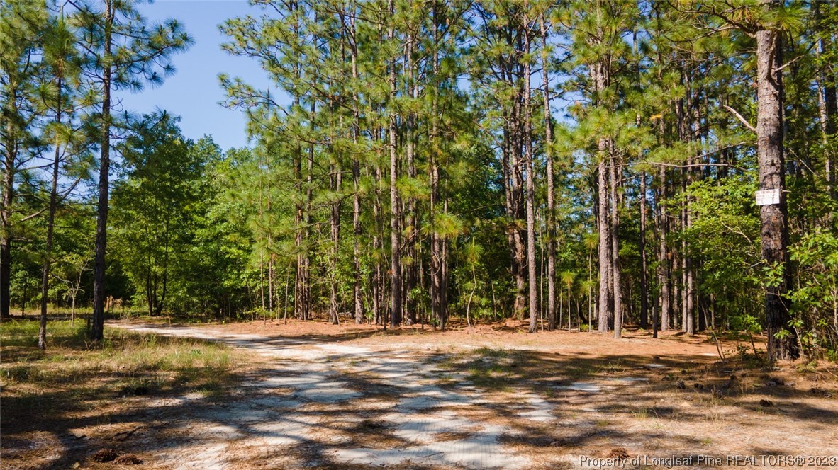 Springwood Lane Raeford, NC 28376 - Photo 9 of 34 Gallery Image 9