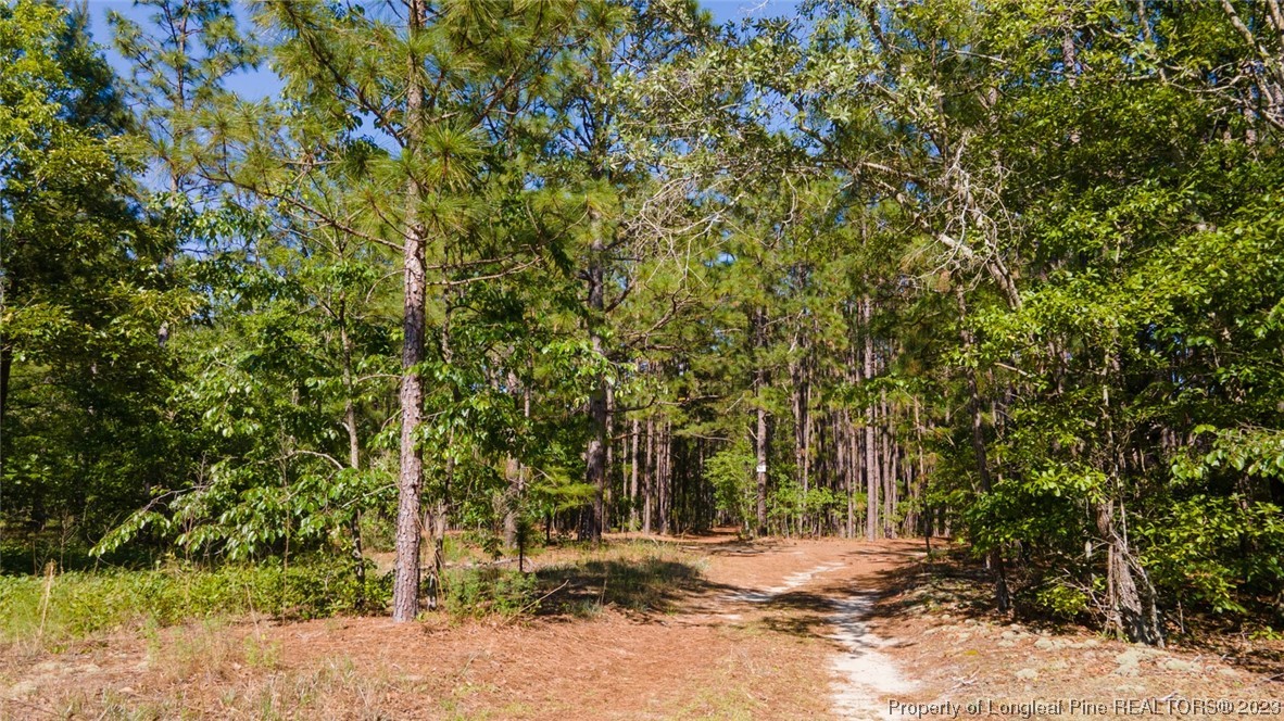 Springwood Lane Raeford, NC 28376 - Photo 10 of 34 Gallery Image 10