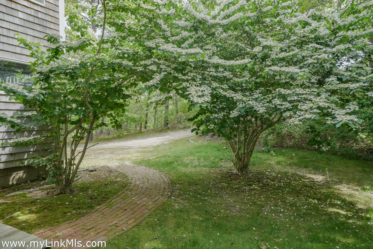 50 Hidden Cove Road Oak Bluffs, MA 02557 - Photo 40 of 46