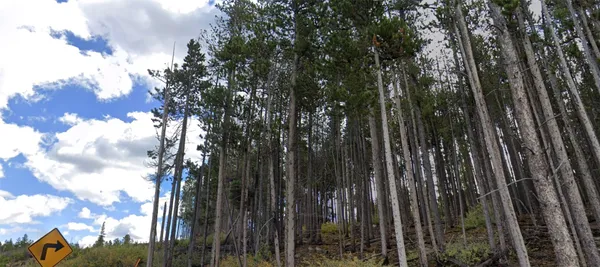 $530,000 | 193 Blue Ridge Road, Breckenridge, CO 80424
