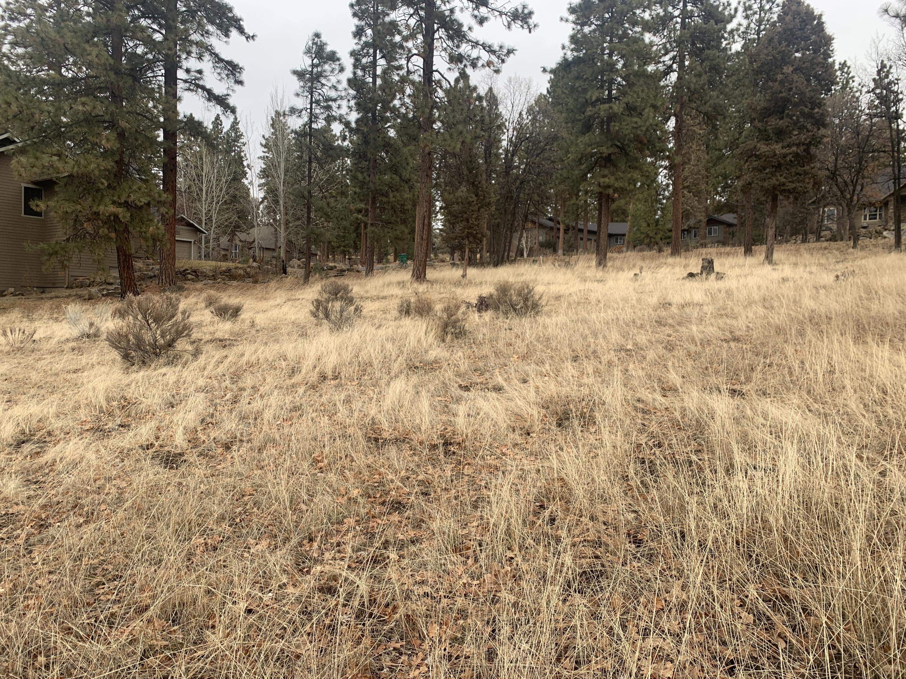 Lot 69 Merganser Road Klamath Falls, OR 97601 - Photo 18 of 20 IMG_9659