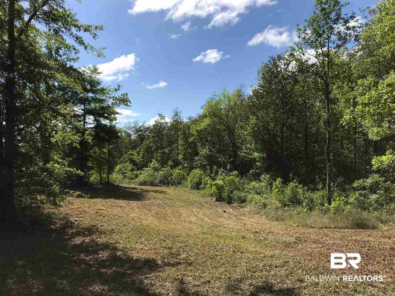 11910 Roberts Road Chunchula, AL 36521 - Photo 11 of 11
