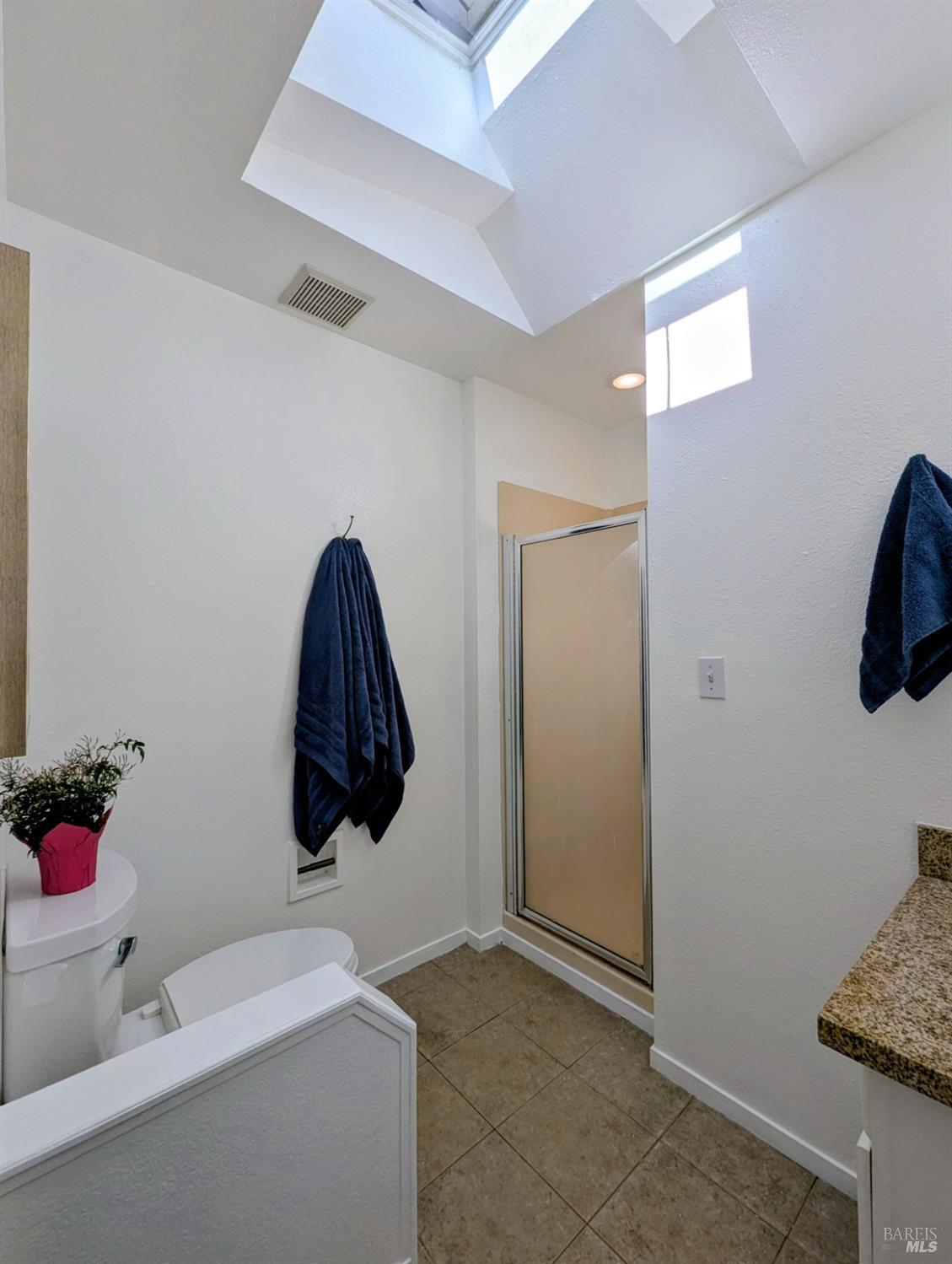 112 East Agua Caliente Road Sonoma, CA 95476 - Photo 16 of 20 a room with a potted plant