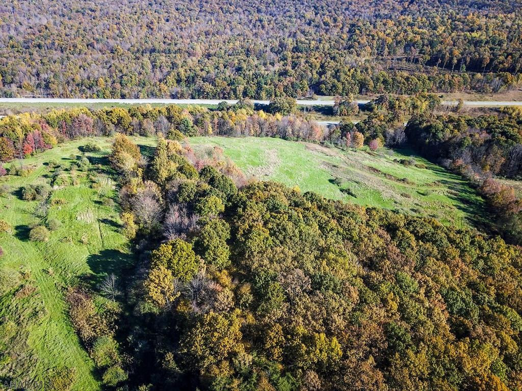 Off Deflock Road Osterburg, PA 16667 - Photo 7 of 18
