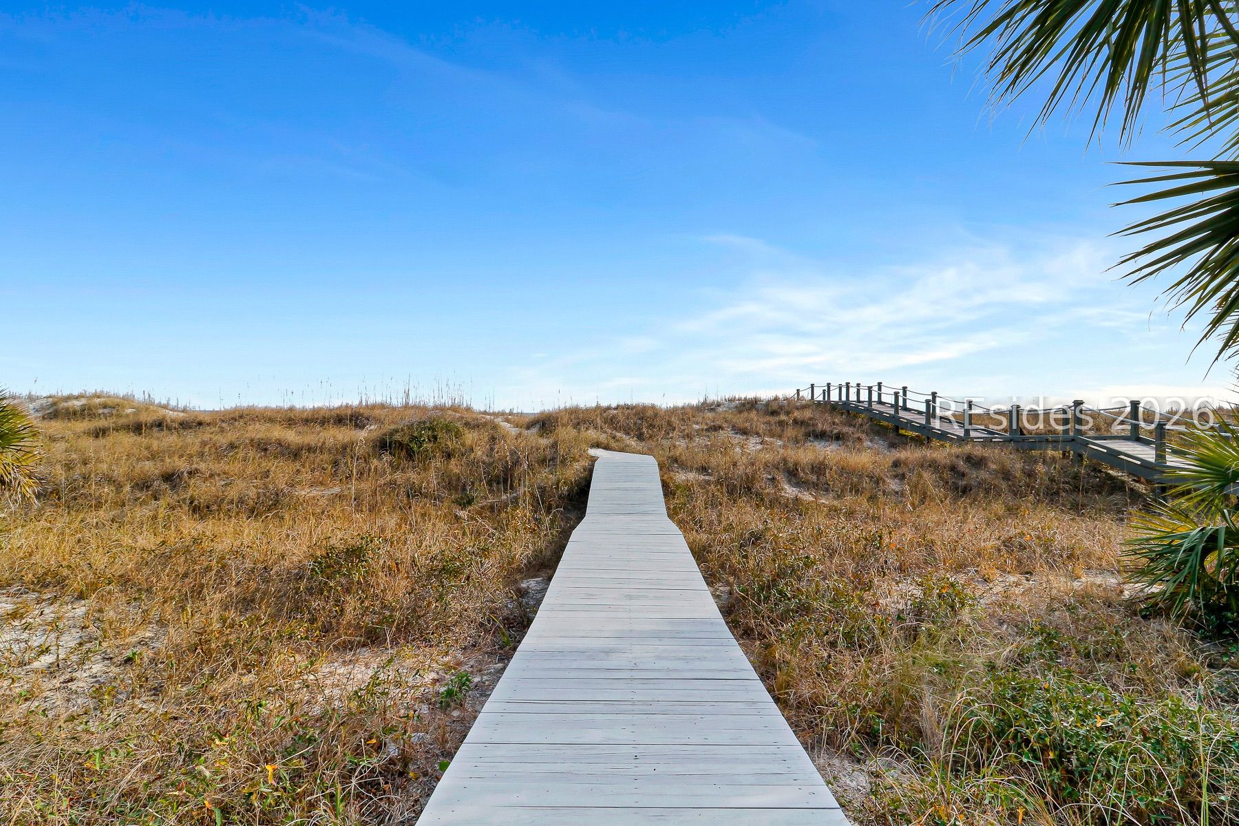 9 Guscio Way Hilton Head Island, SC 29928 - Photo 10 of 83