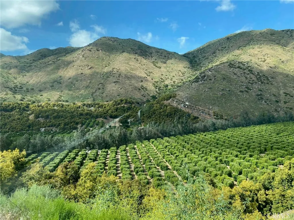 0 Julian Estates Road Chula Vista, CA 91910 - Photo 2 of 2 a view of a field with a mountain in the background