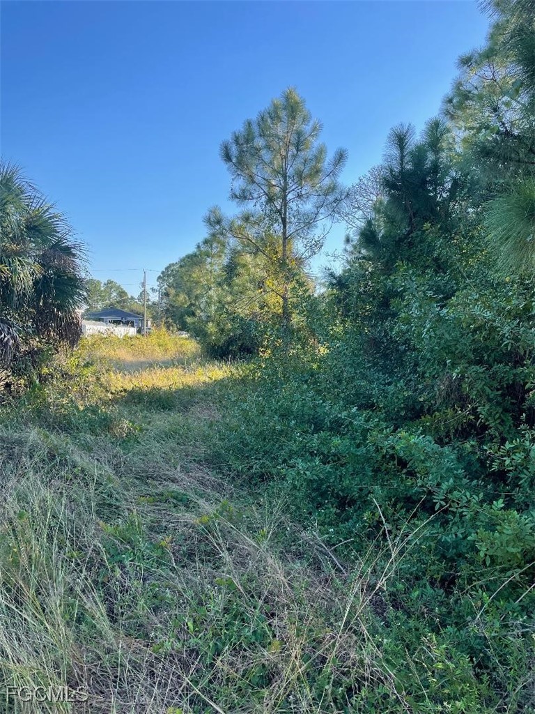 436 Rayneta Street Lehigh Acres, FL 33974 - Photo 6 of 7