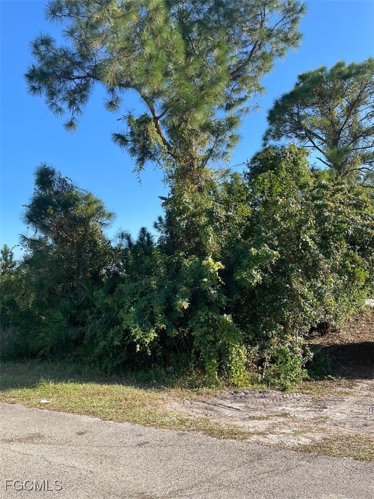 436 Rayneta Street Lehigh Acres, FL 33974 - Photo 7 of 7
