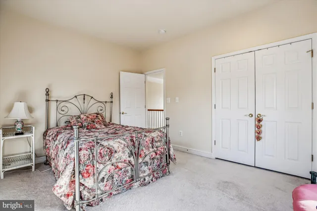 a view of a park with a large tree