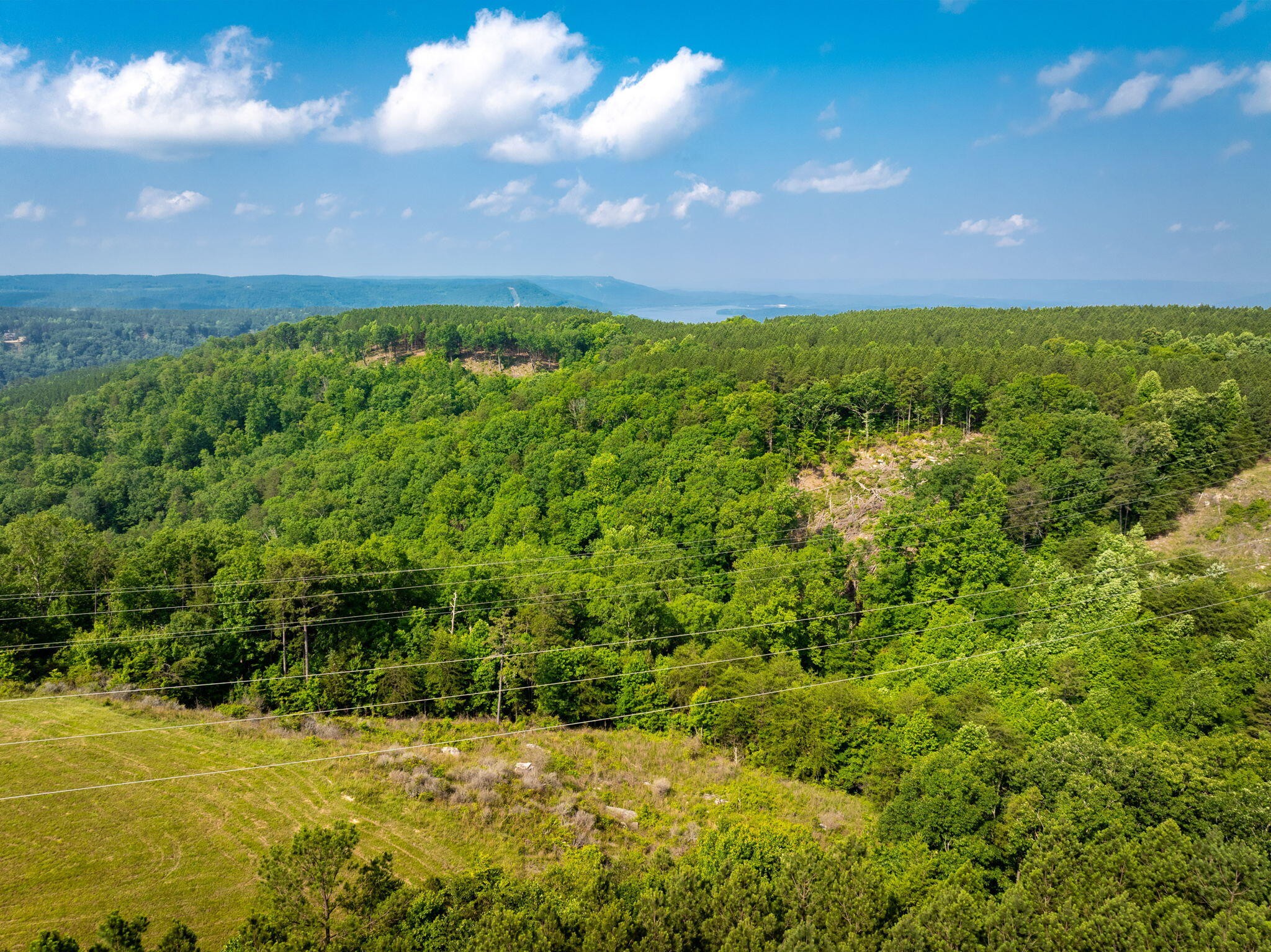 0 Split Rail Way Guild, TN 37340 - Photo 12 of 30