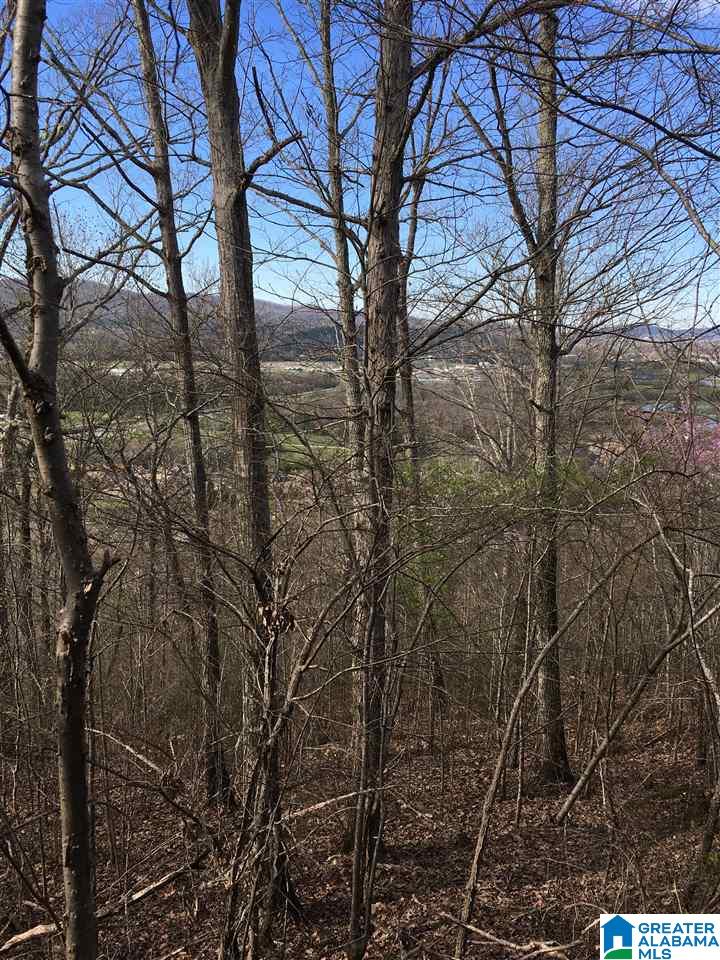 230 County Line Road Oxford, AL 36203 - Photo 39 of 50