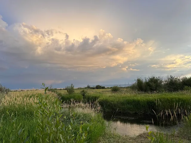 $595,555 | Lawrence Road, Laramie, WY 82070