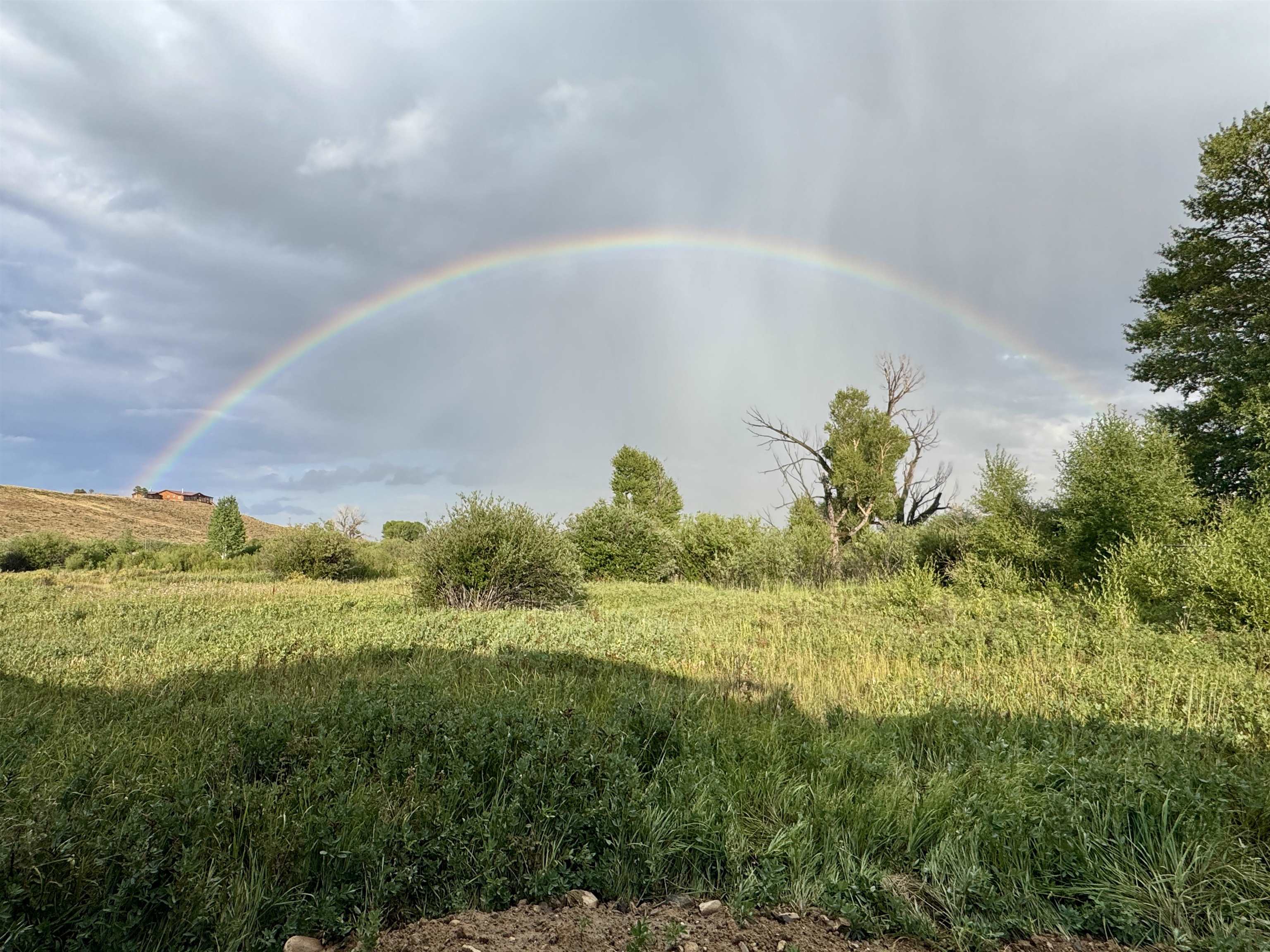 Lawrence Road Laramie, WY 82070 - Photo 3 of 24