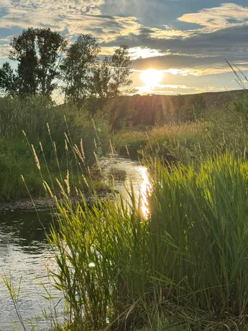 $595,555 | Lawrence Road, Laramie, WY 82070