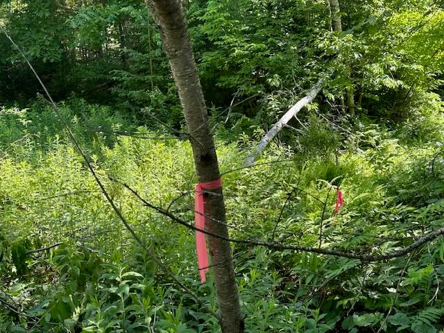 $52,500 | Lot #6 Bonnie Way, Winterport, ME 04496