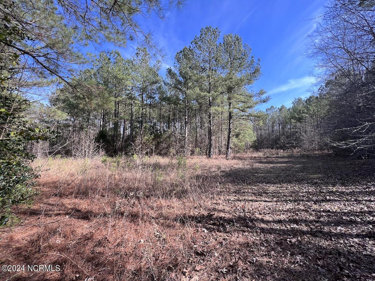 657 Collins Mill Road Castalia, NC 27816 - Photo 121 of 148 IMG_5096
