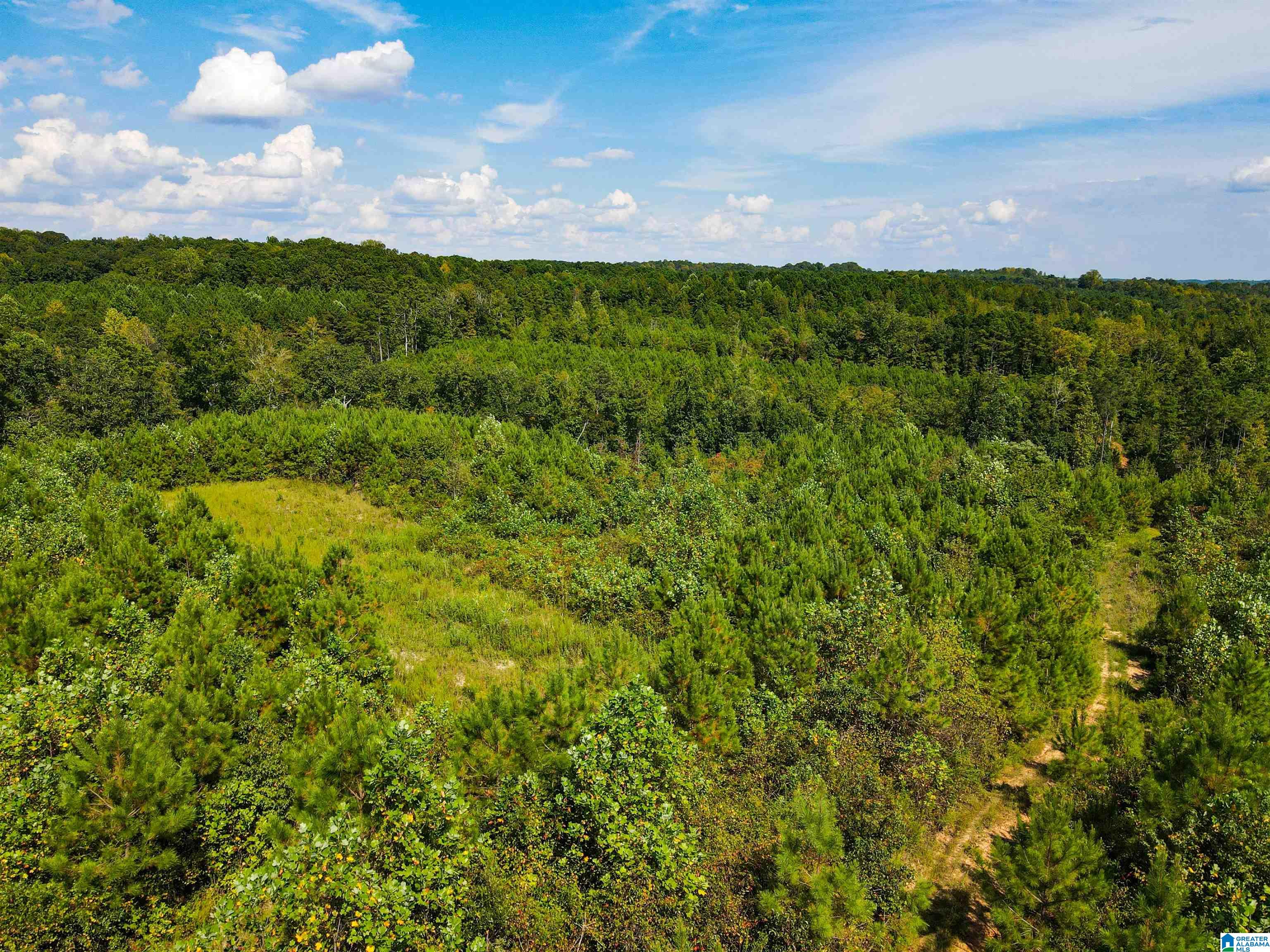 1 Highway 13, Unit 1 Berry, AL 35546 - Photo 21 of 52