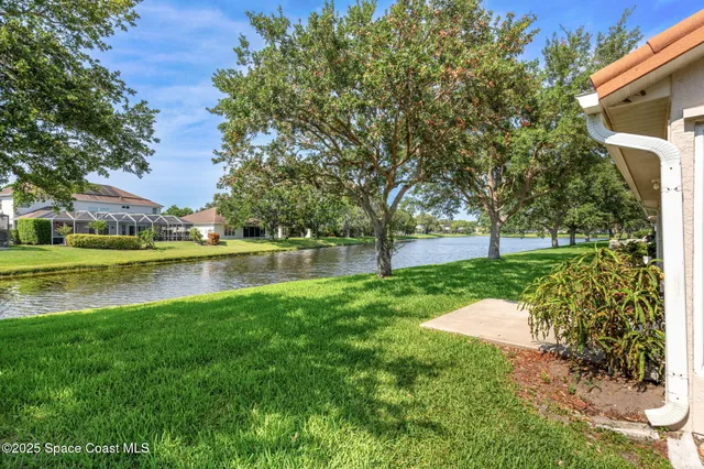 a view of a park with large trees