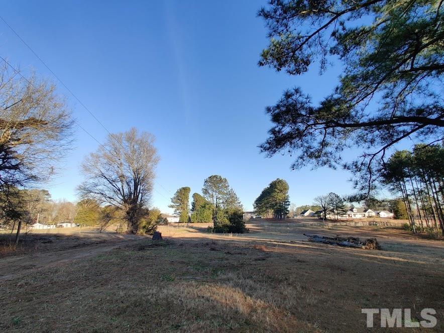 5209 Pulley Town Road Zebulon, NC 27597 - Photo 3 of 9 a view of a garden with a tree