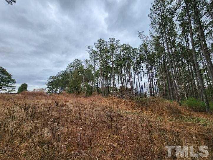 5209 Pulley Town Road Zebulon, NC 27597 - Photo 6 of 9 a view of backyard with green space