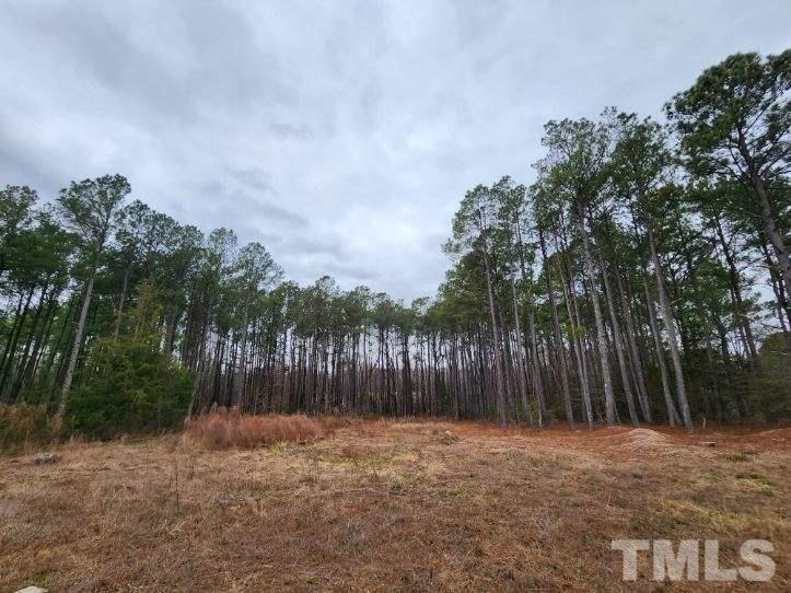 5209 Pulley Town Road Zebulon, NC 27597 - Photo 8 of 9 a backyard of a house with lots of green space