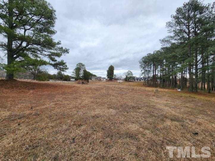 5209 Pulley Town Road Zebulon, NC 27597 - Photo 9 of 9 a view of outdoor space with city view