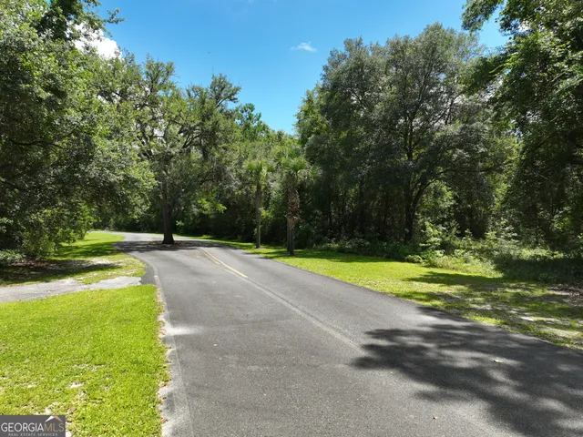 a view of a garden with a plant
