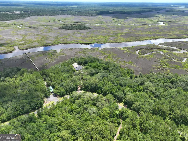 a view of a lush green forest