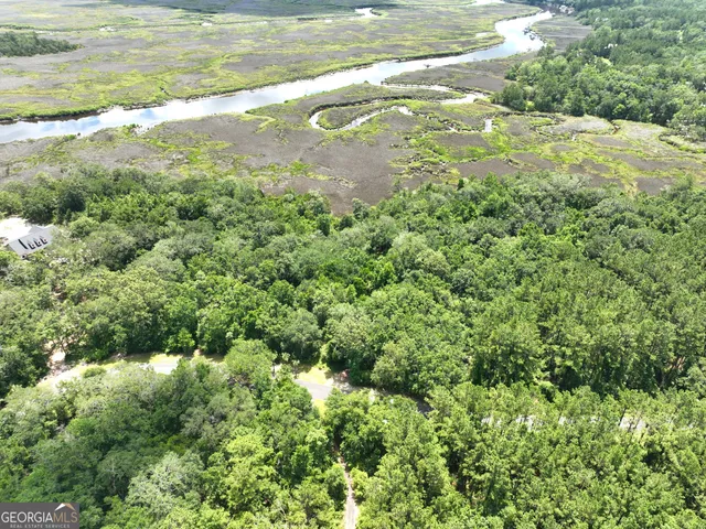 a view of a garden with plants
