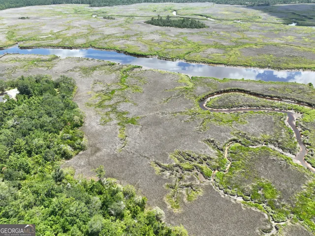 a view of a lush green forest