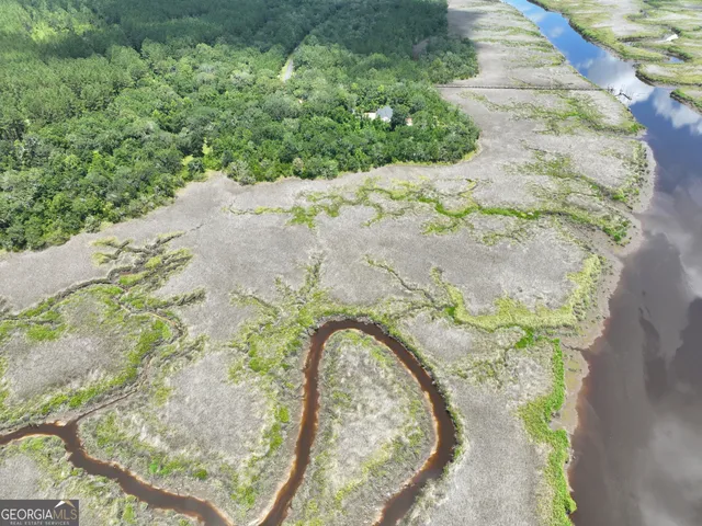 a view of a lush green forest