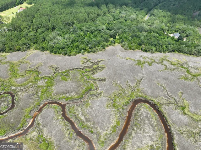 a view of a yard with large trees