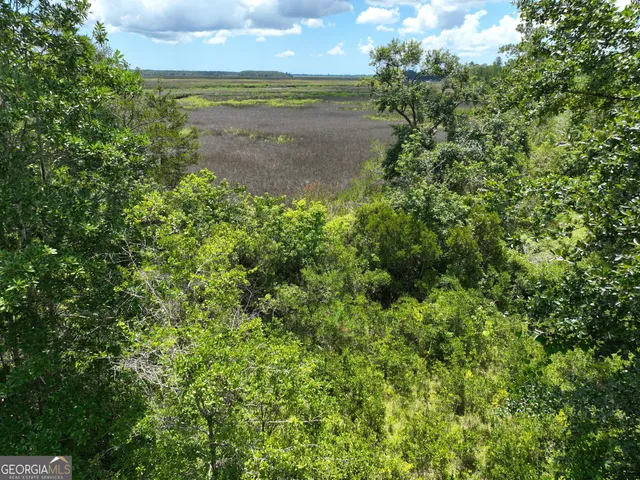 a view of a backyard with plants