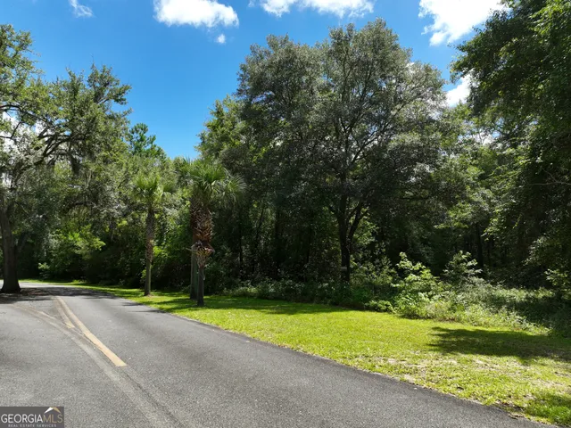 a view of a park with large trees