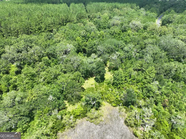 a view of a field of grass and trees
