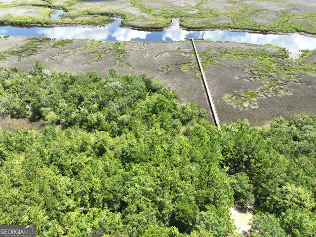 a view of a park with large trees