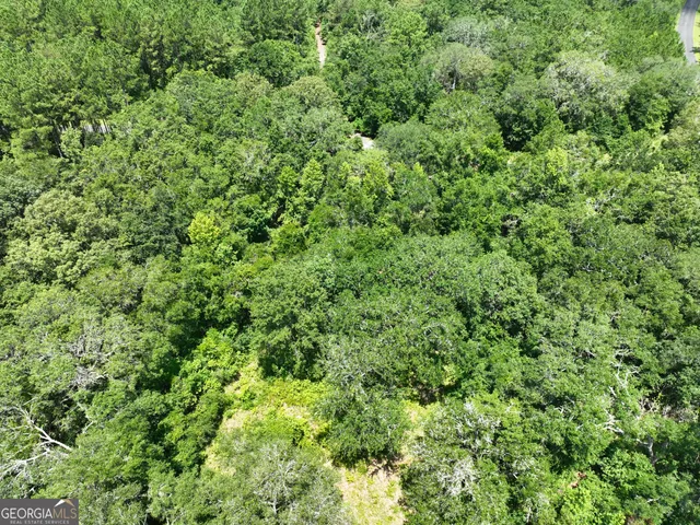 $62,500 | 0 Waverly Lane, White Oak, GA 31568