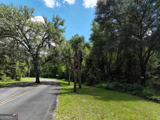 a view of a lush green forest