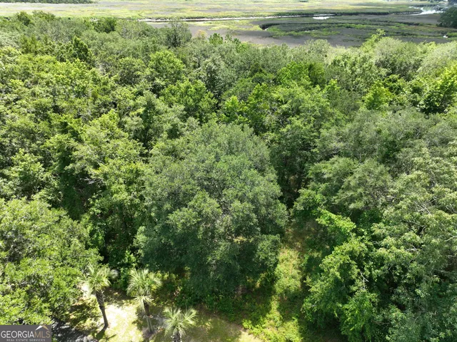 $62,500 | 0 Waverly Lane, White Oak, GA 31568