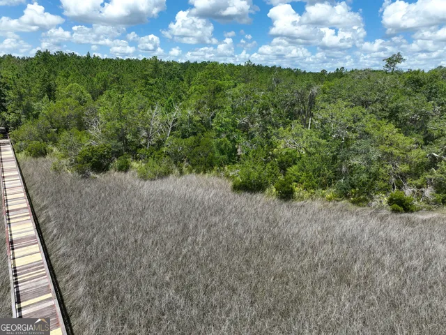 $62,500 | 0 Waverly Lane, White Oak, GA 31568