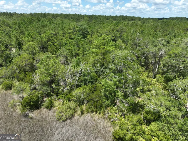 $62,500 | 0 Waverly Lane, White Oak, GA 31568