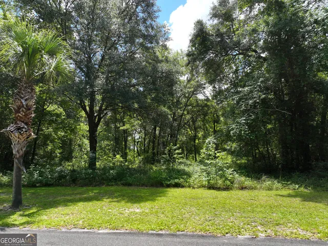 a view of a garden with plants and large trees