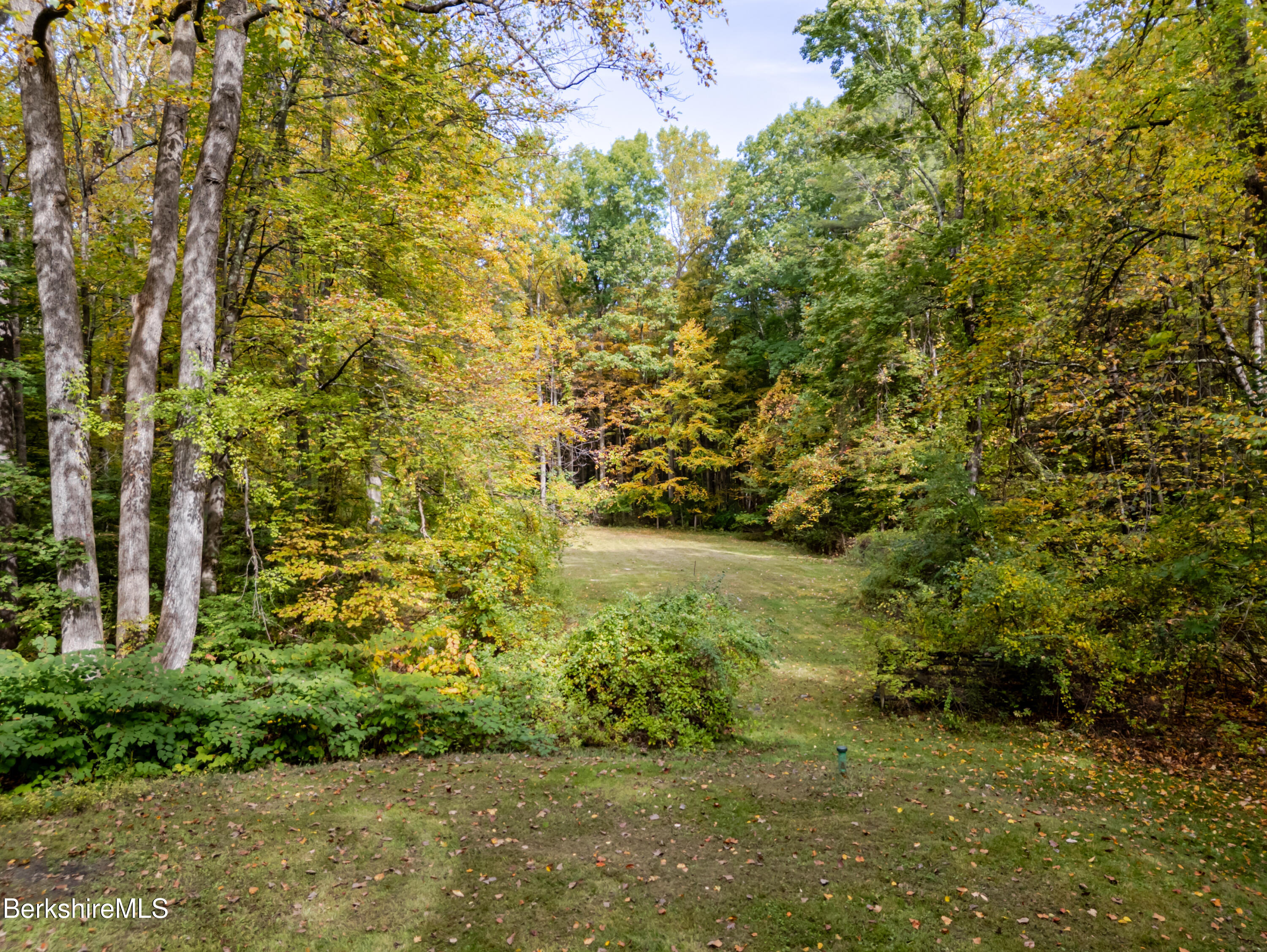 176 Division Street Great Barrington, MA 01230 - Photo 38 of 40 a view of a garden