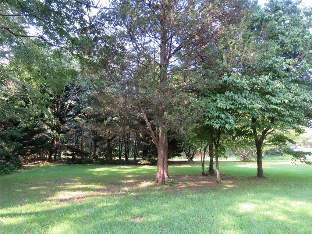 303 Beech View Court Seneca, SC 29672 - Photo 9 of 23 .64 Acre- Flat with nice trees and grass