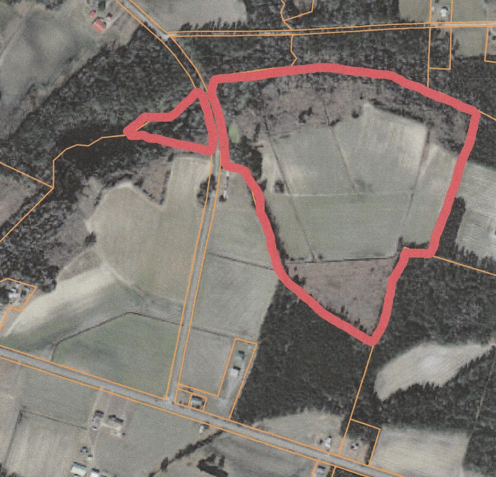 40-ac 40-ac Willoughby Road Nichols, SC 29581 - Photo 4 of 4