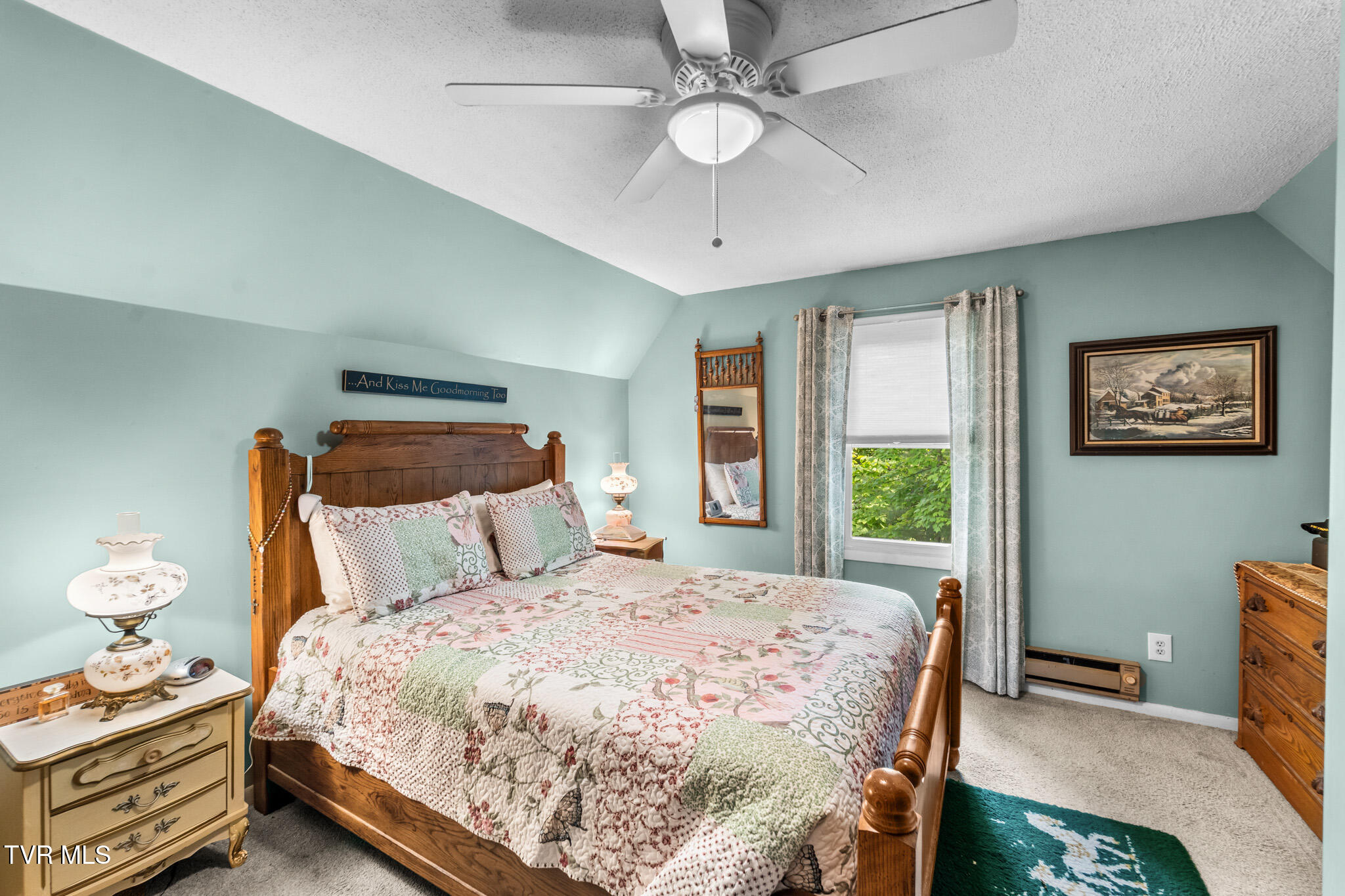 929 Noah Snyder Road Mountain City, TN 37683 - Photo 32 of 42 DSC07979 (1)